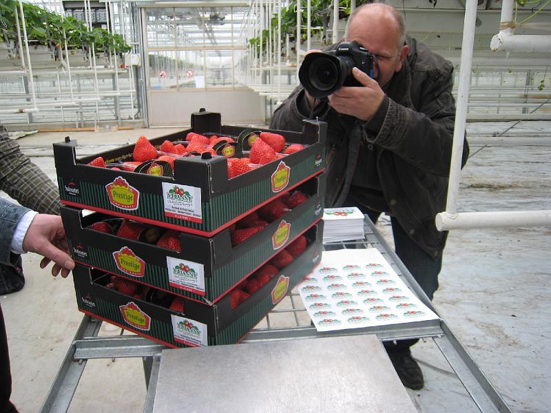 Elianny eerste veiling Fruitmasters Koningsplant john ard leon Vissers aardbeiplanten BV America (20).JPG